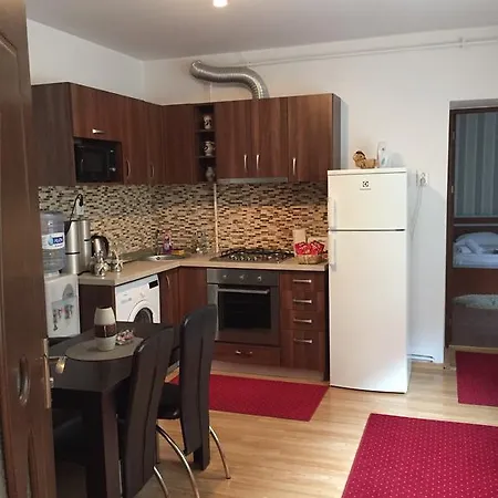 Apartment Xenopol *